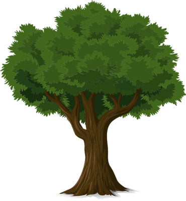 L'Esprit des Forêts - Plantez un arbre en France