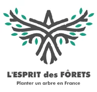 L'Esprit des Forêts - Plantez un arbre en France