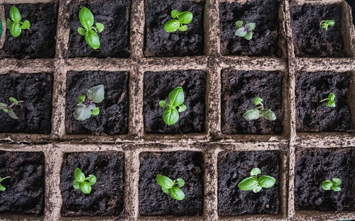 ressources renouvelables permaculture